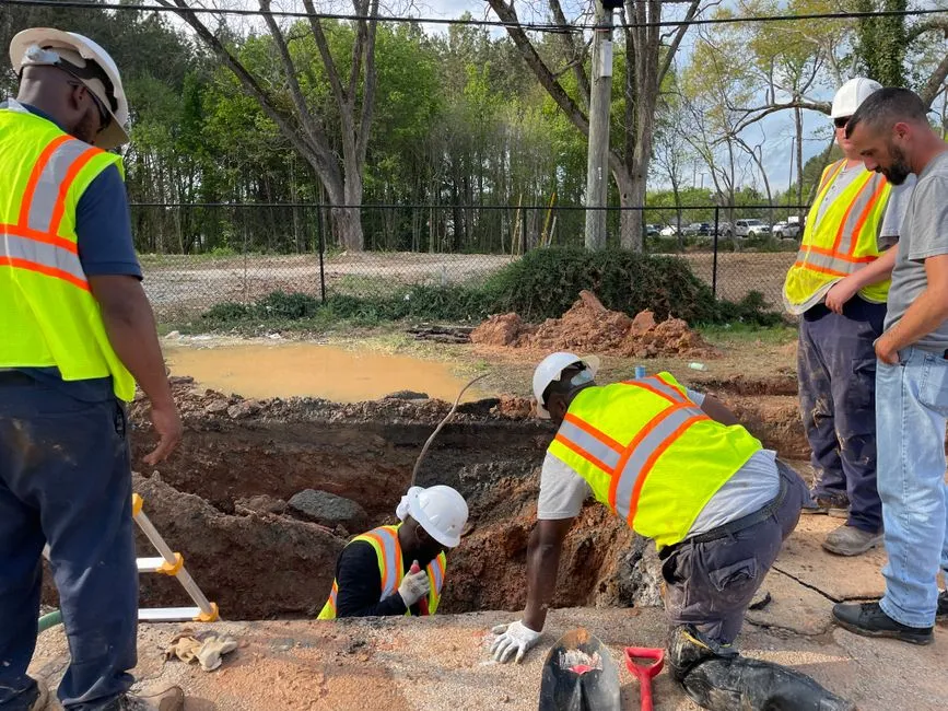Aggressive tree root intrusion