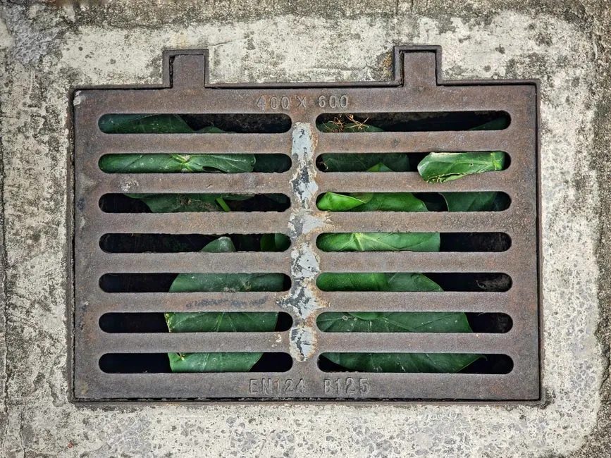 Sewer Line Drain Cleaning in Springfield, VA